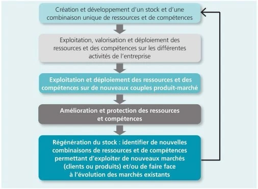 L'analyse des ressources et des compétences Le-developpement-du-portefeuille-de-ressources-et-de-competences